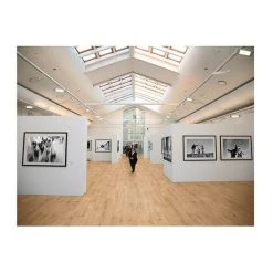 Logoclic Laminatgulv Vinto Eg Milford 2,22 M² -Tilbud GULVE & TILBEHØR Butik unnamed file 261